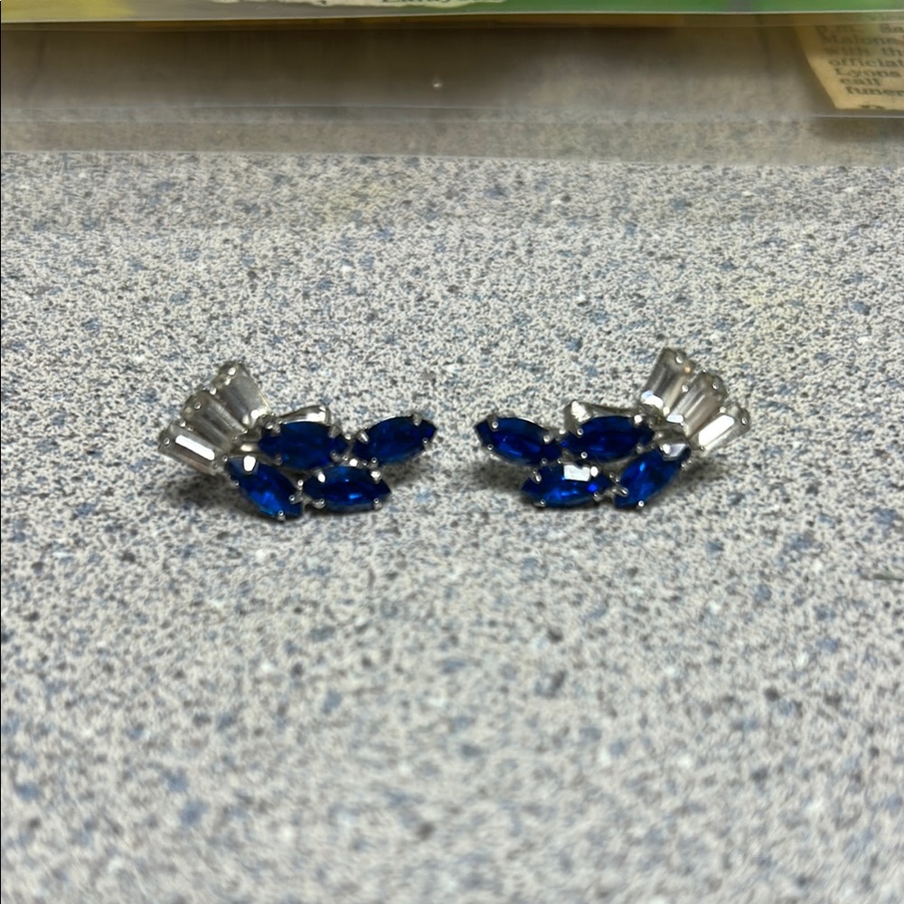 Elegant Blue and Silver Earrings